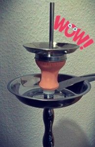 mata-leon-shisha-kopf